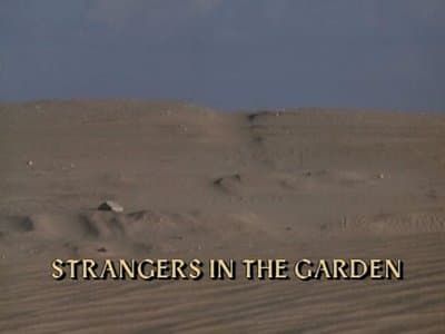 Strangers in the Garden