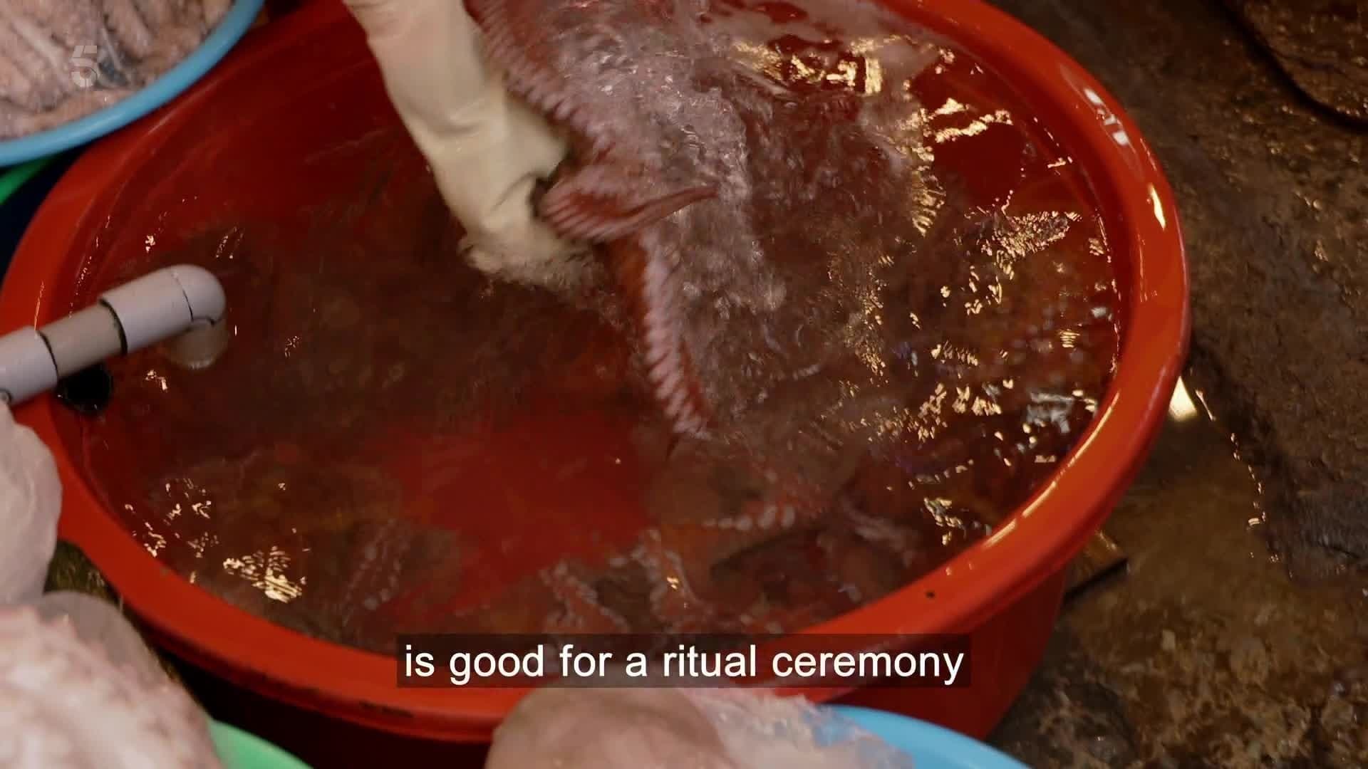 Episode 3