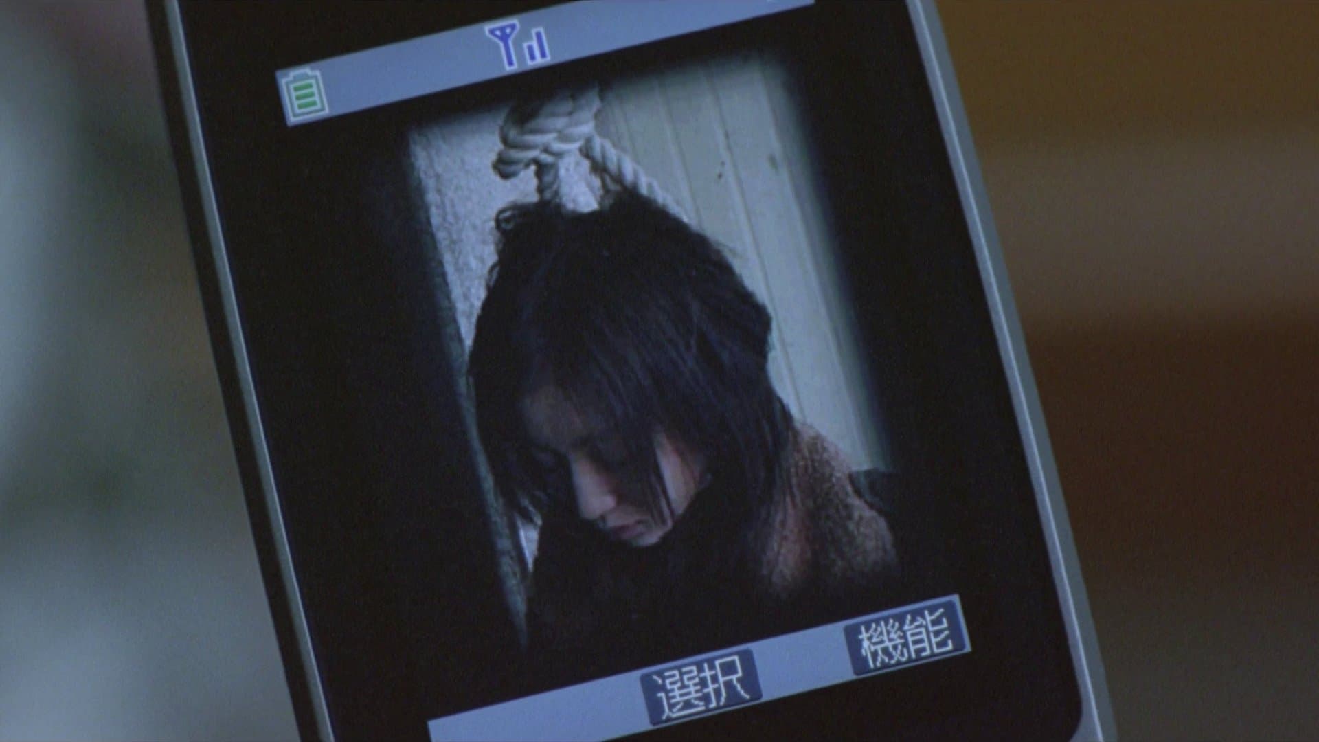 Erika Asakura