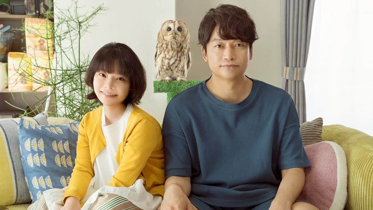 Koji Matoba