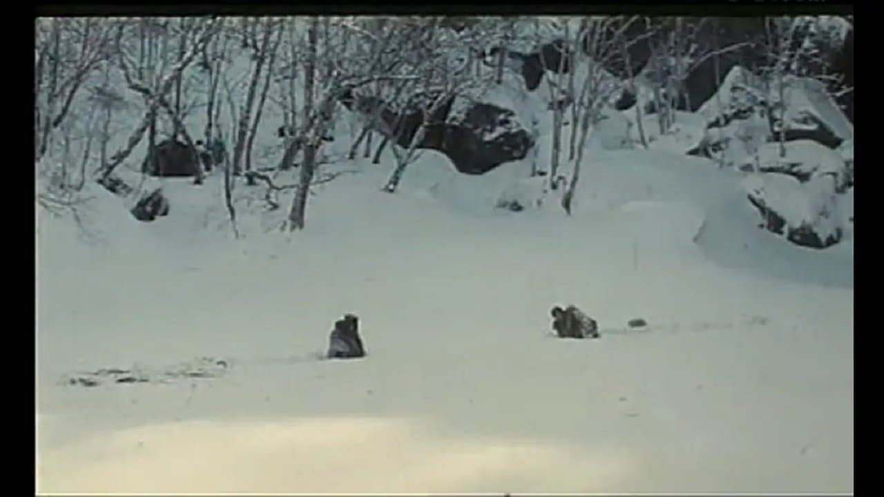Wu Ziniu