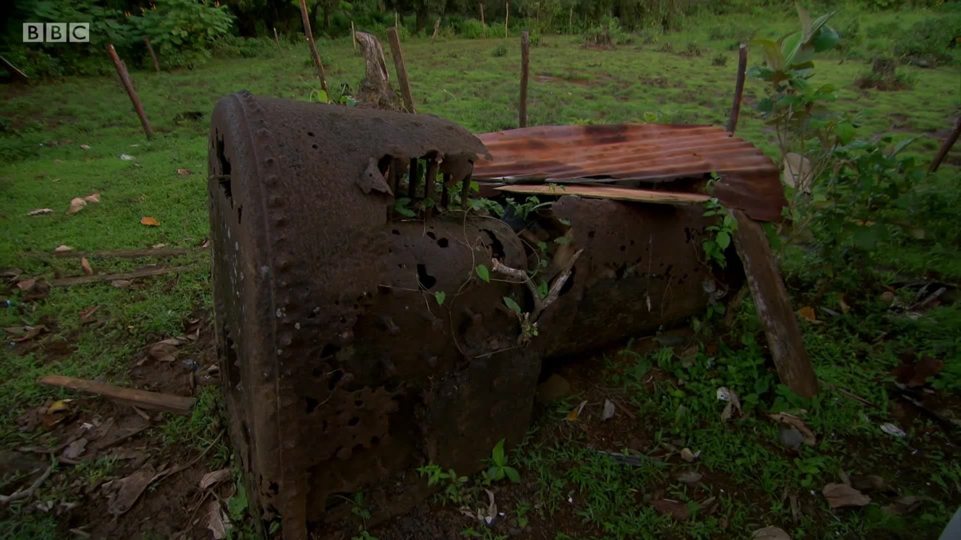 Nicaragua, Honduras & Jamaica