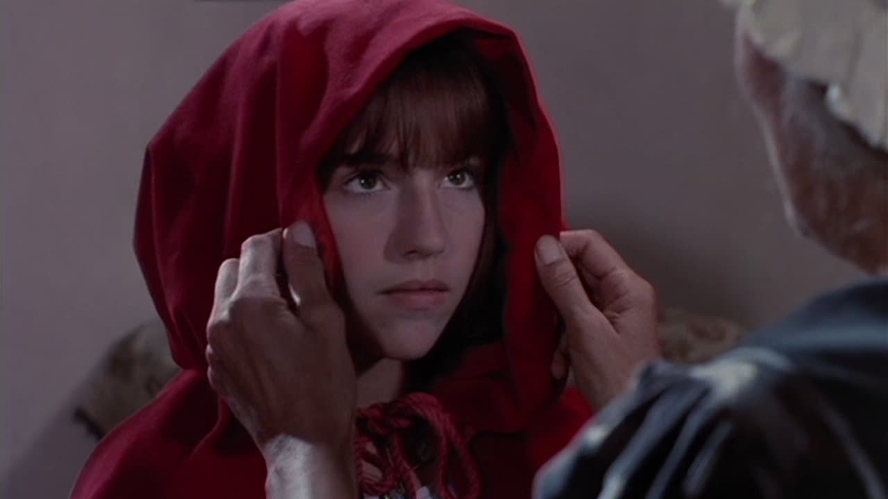 Amelia Shankley