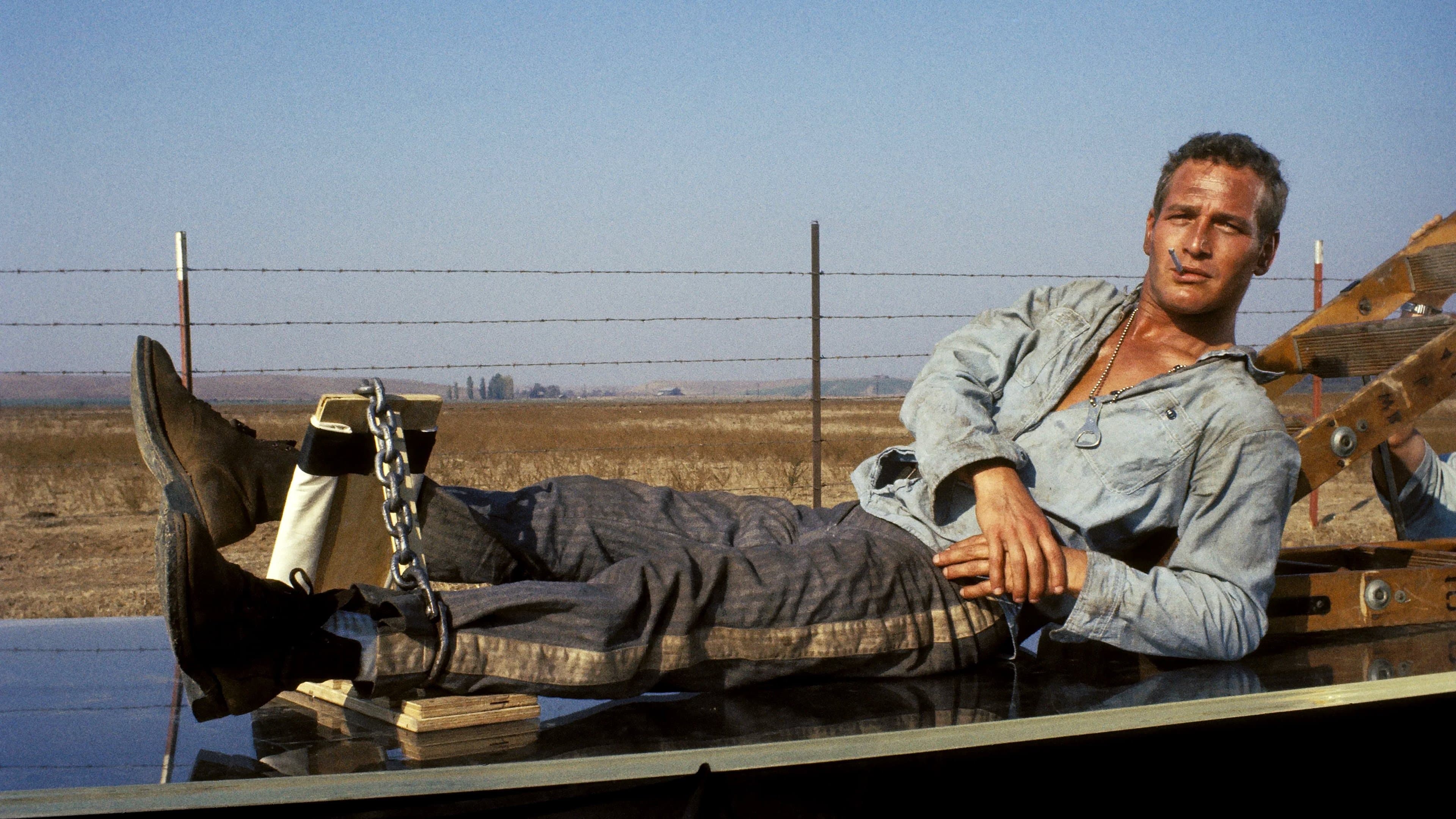 Dennis Hopper