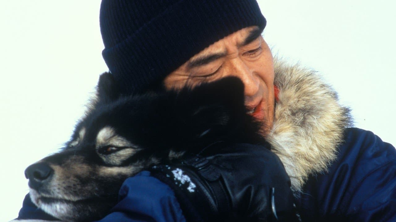 Shin Kishida