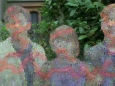 The Living Stones (5)