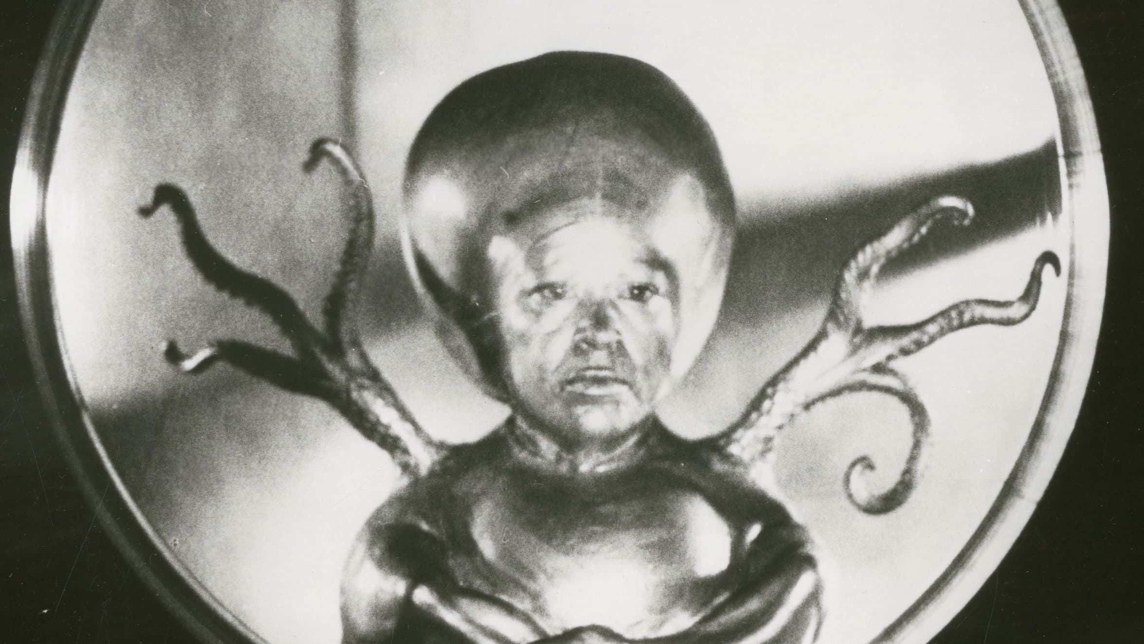 Bert Freed