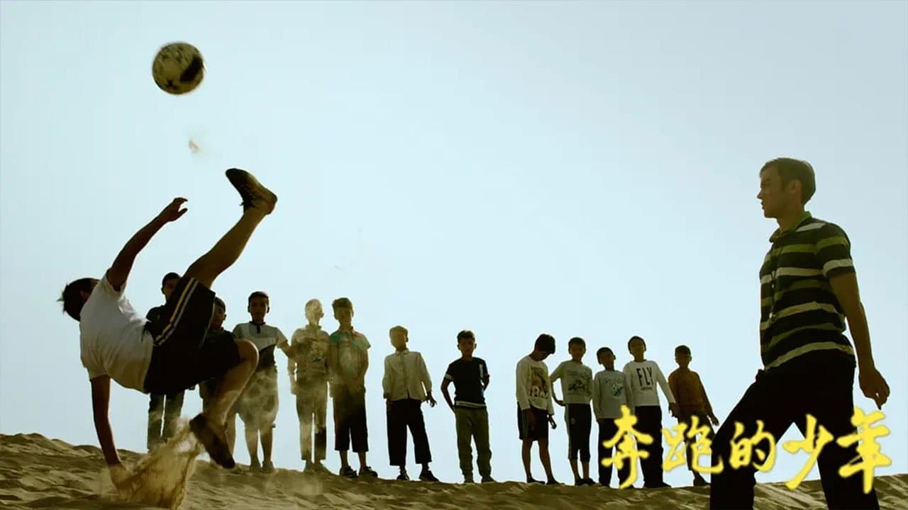 Chang Bo