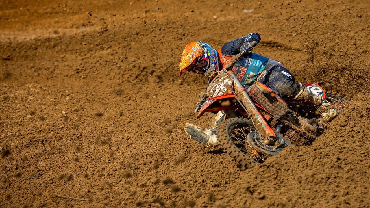 Troy Adamitis