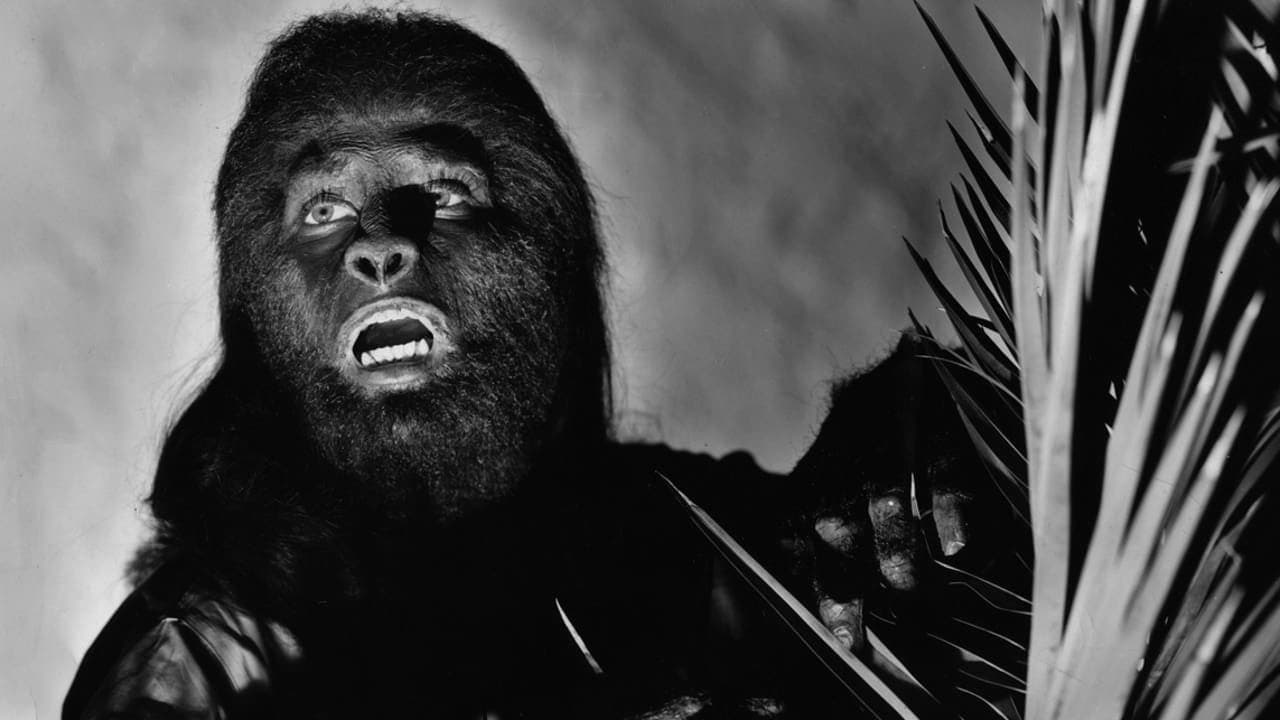 The Ape Woman Collection