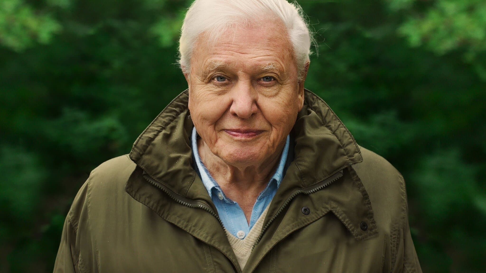 Paul Collins