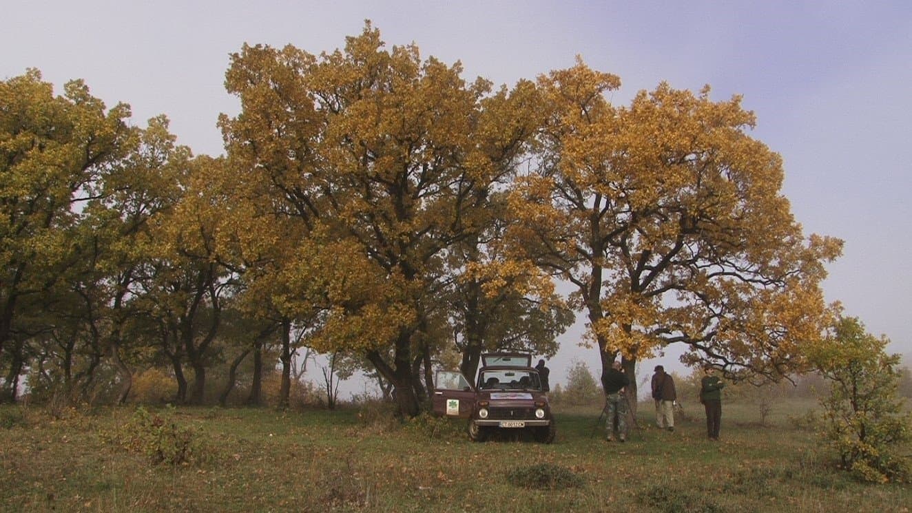 Přežili rok 2000