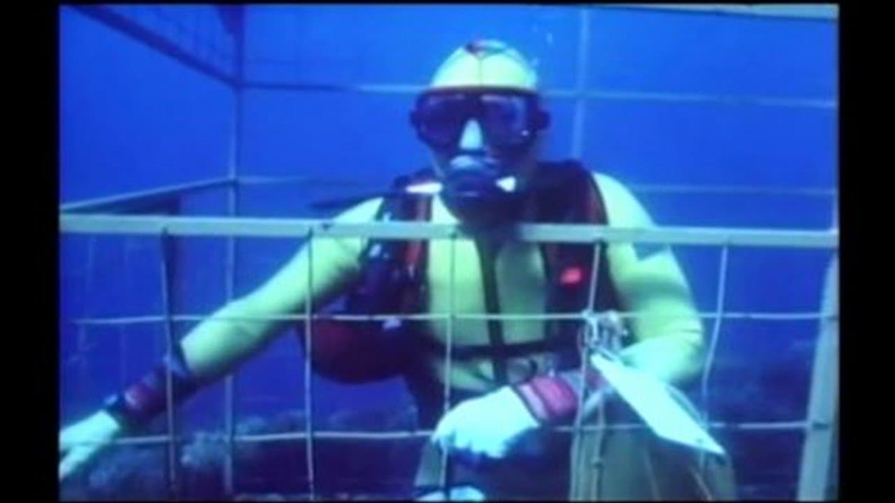 Great White Sharks of Danger Reef