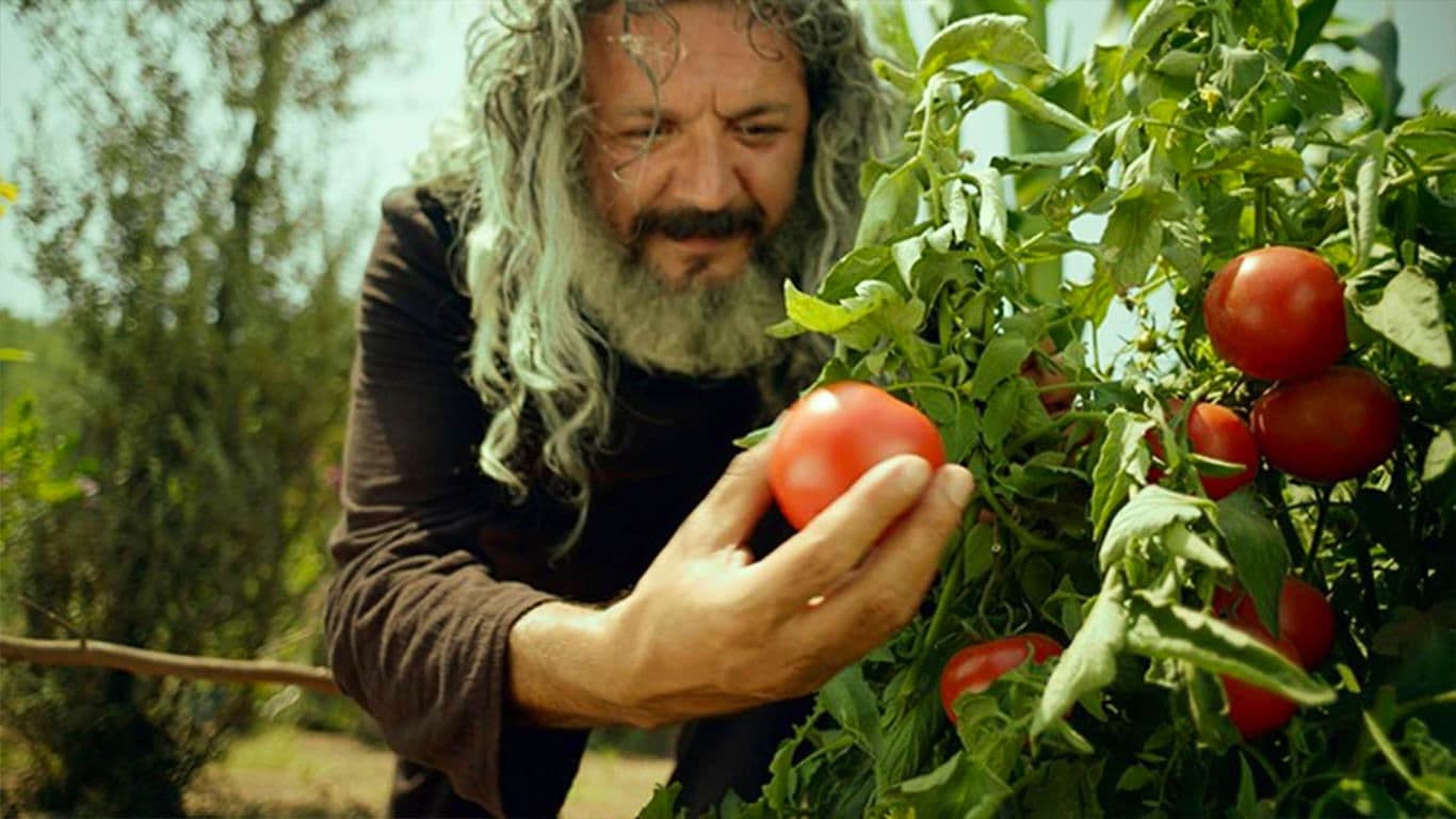 Rasim Öztekin