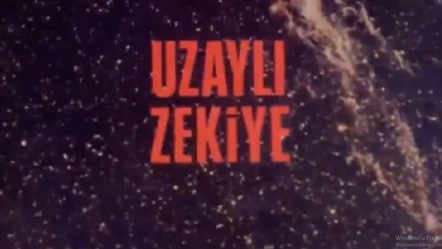 Şebnem Ünaldı