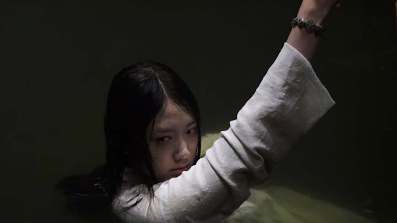 Yang Jin-Woo