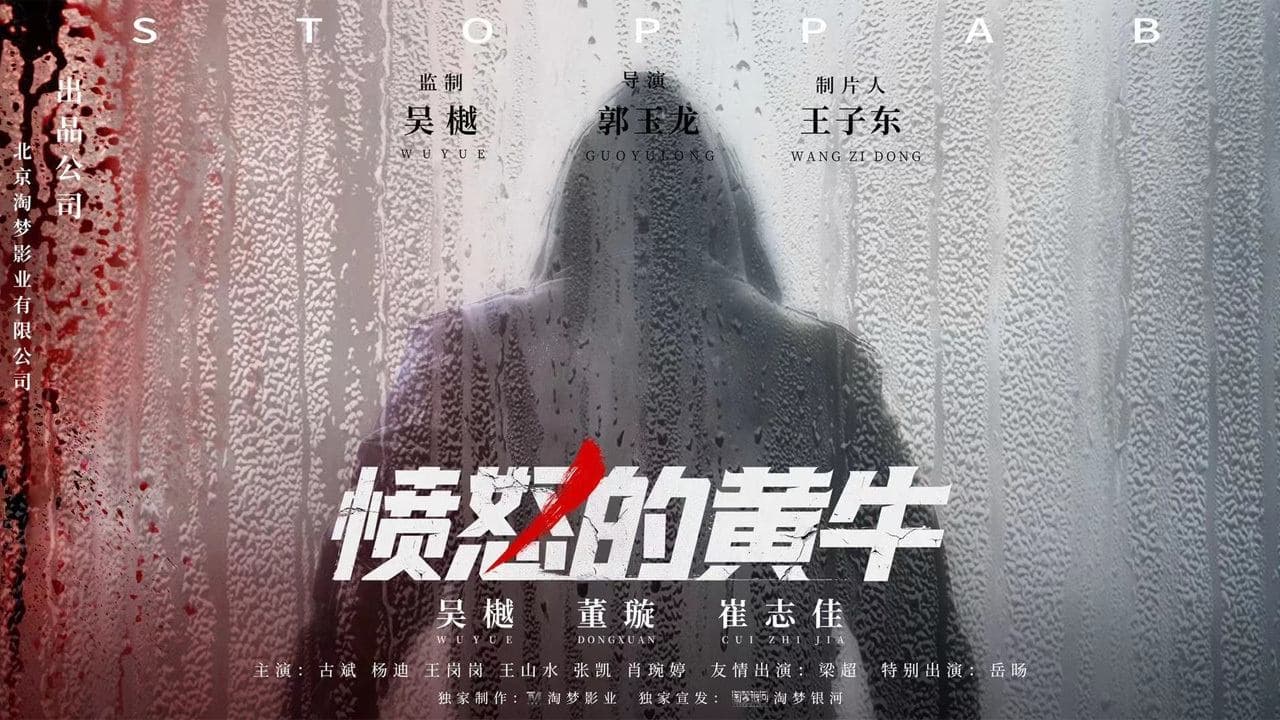 Wang Shan Shui