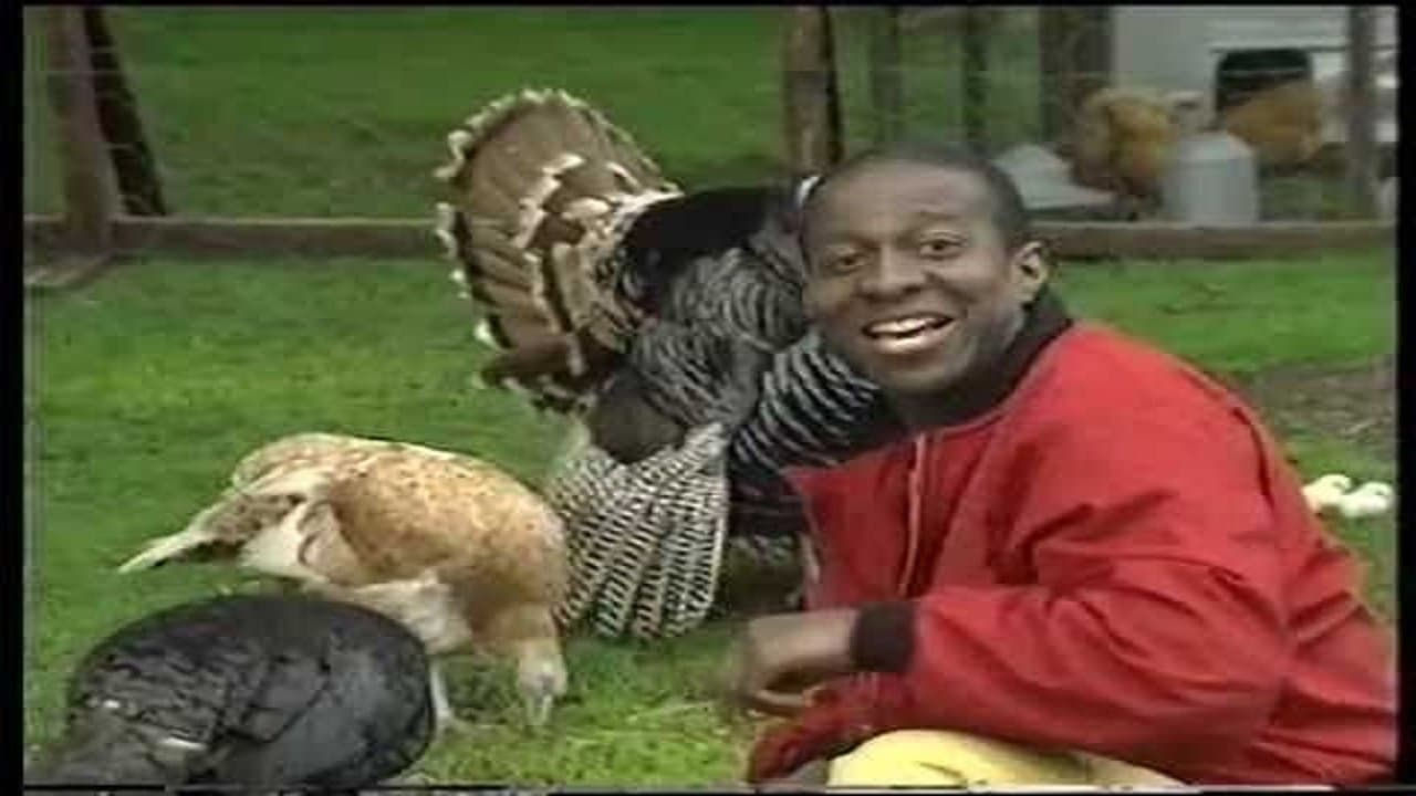 Dave Benson Phillips