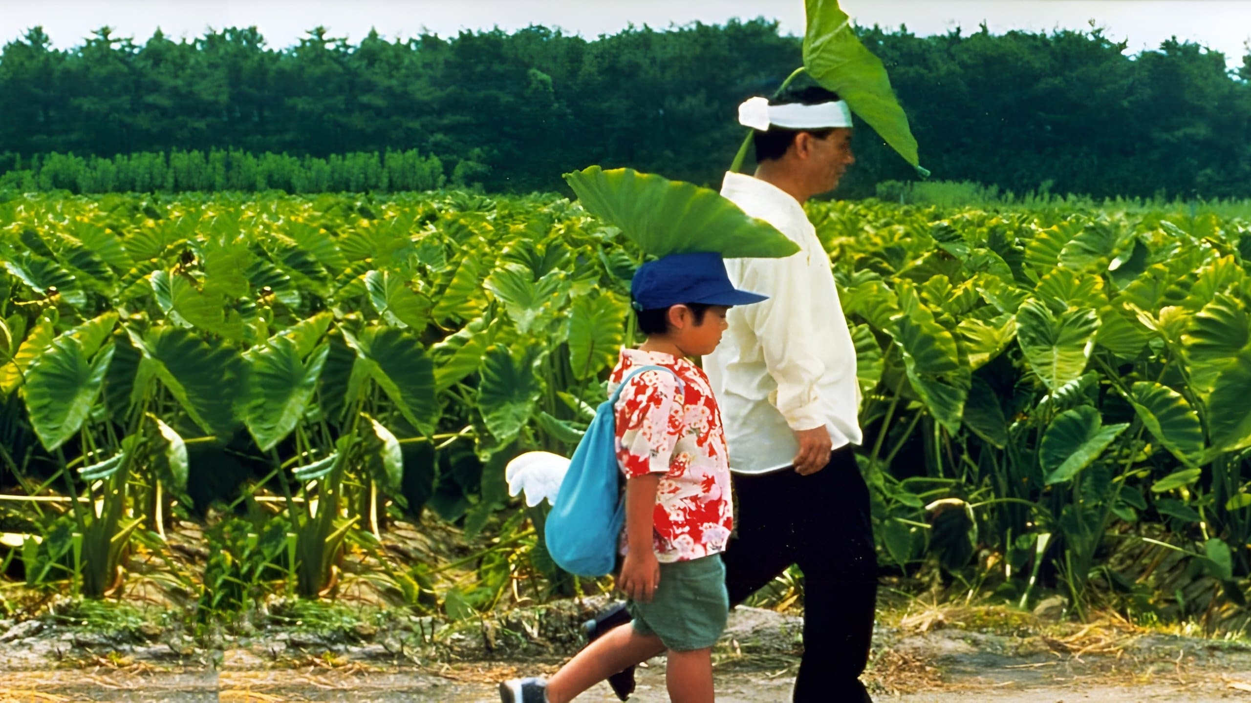 Takeshi Kitano