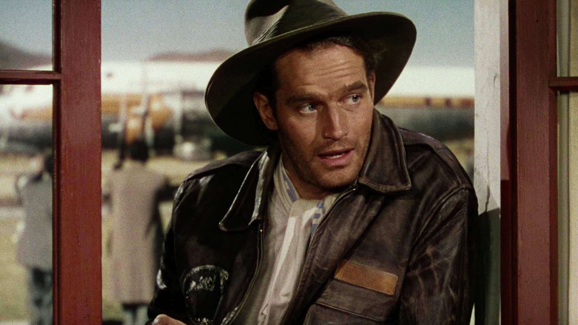 Robert Young