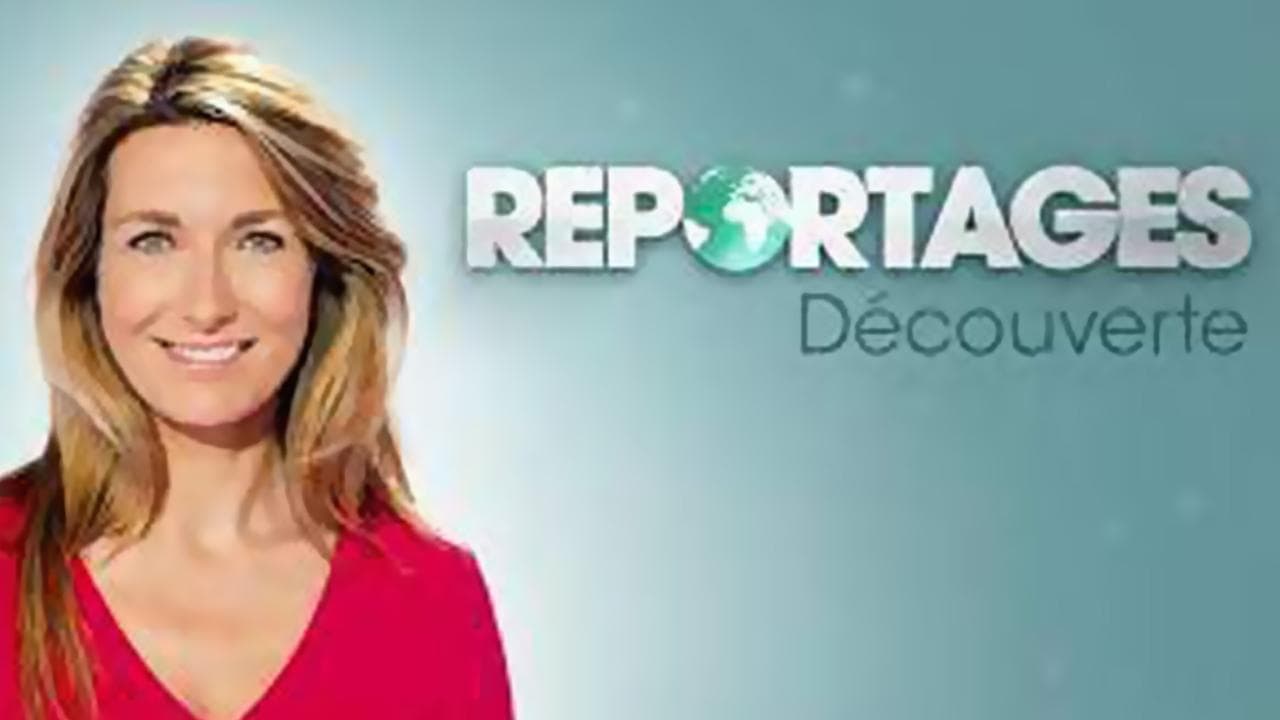 Reportages Découverte