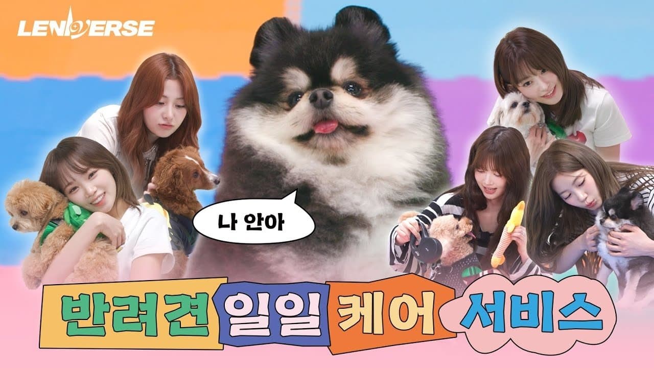 EP.59 Dog Petsitter: One-Day Pet Care Service