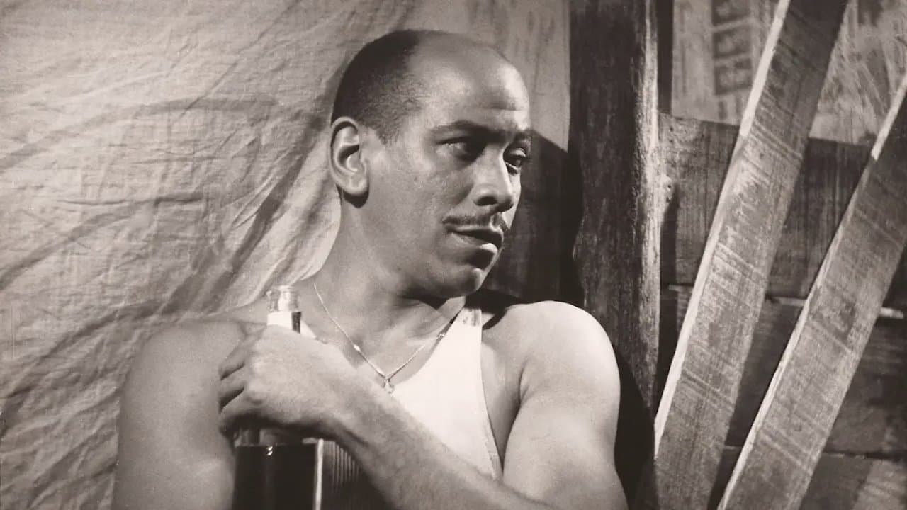 Orángel Delfín