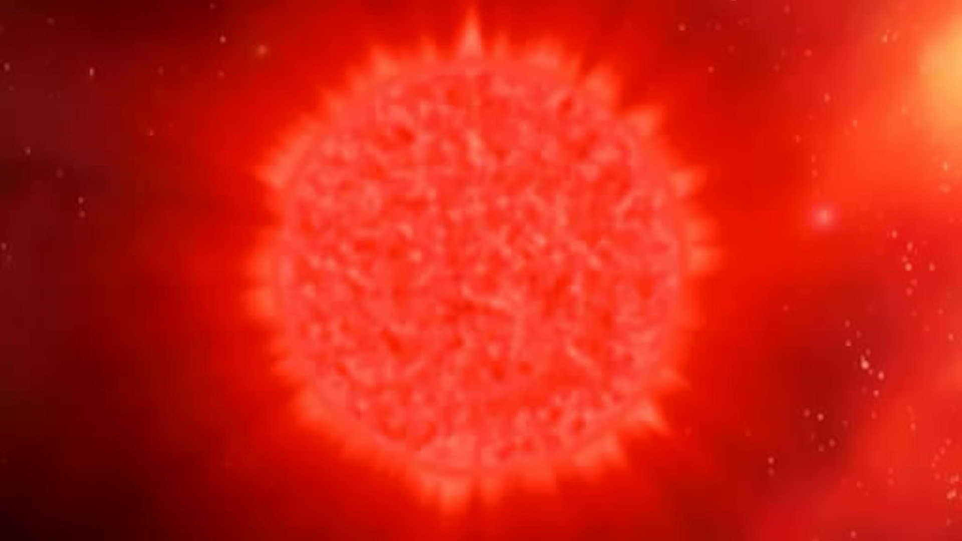 The Sun