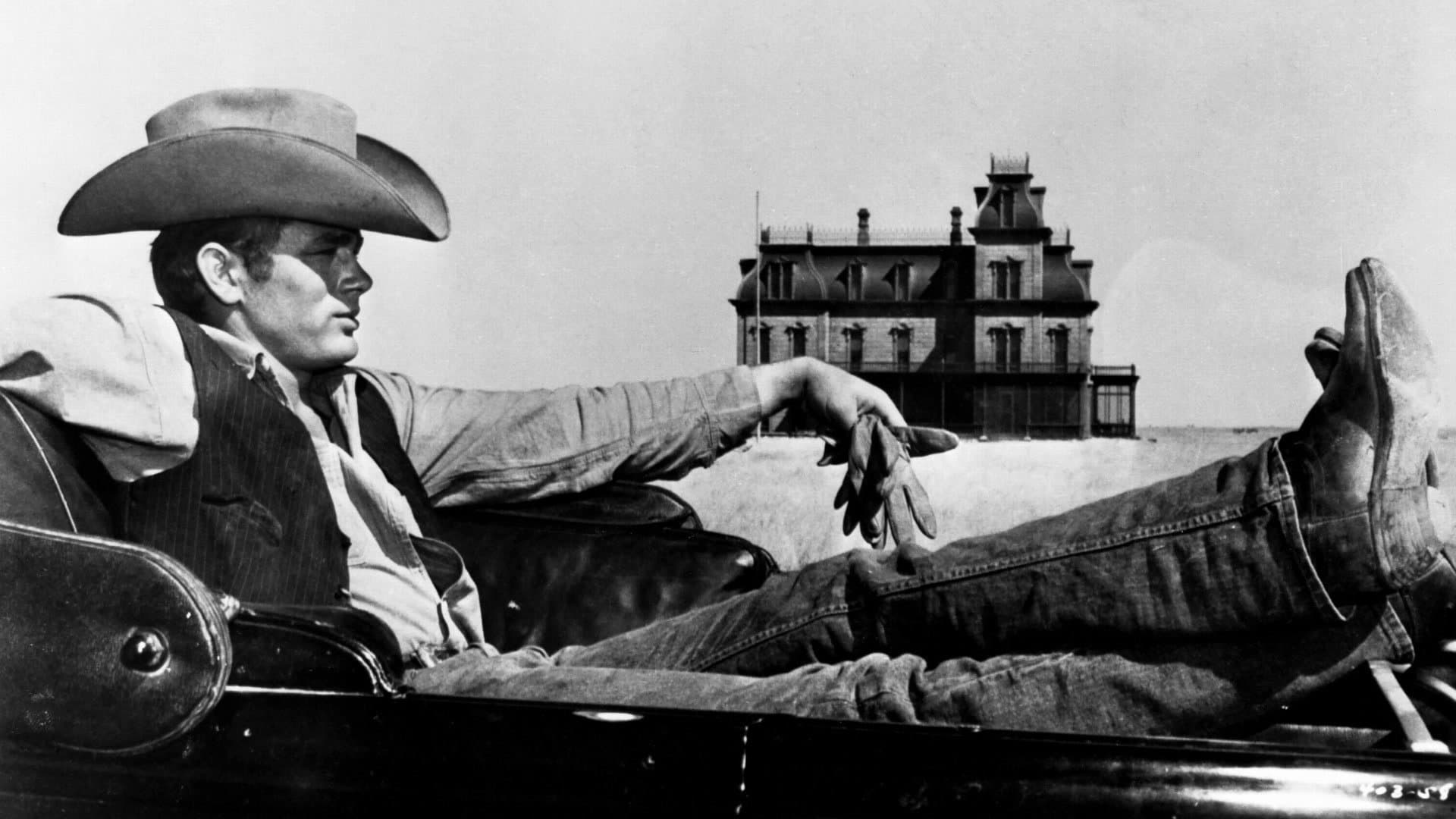 Rod Taylor
