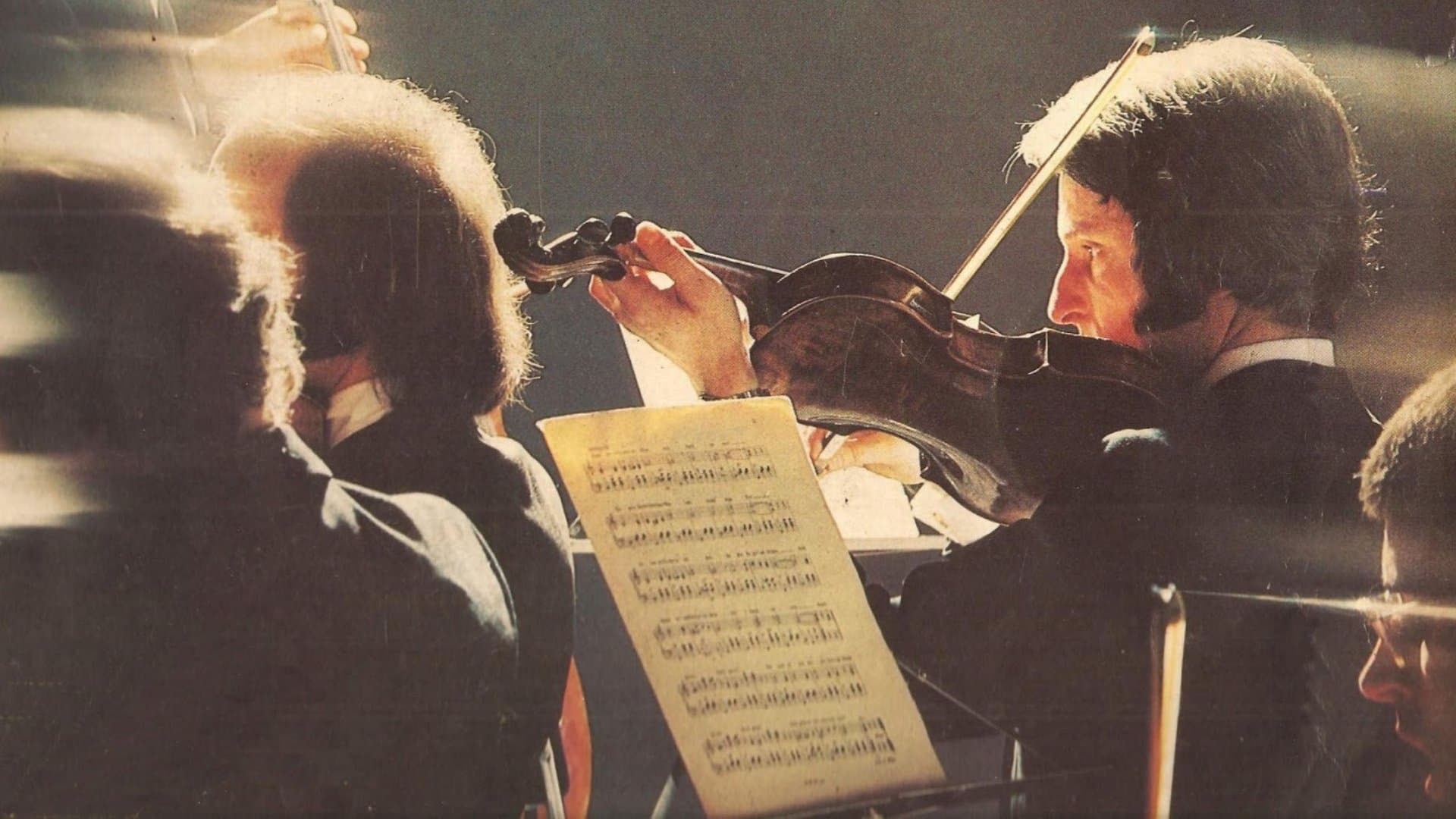Marcelo Picchi