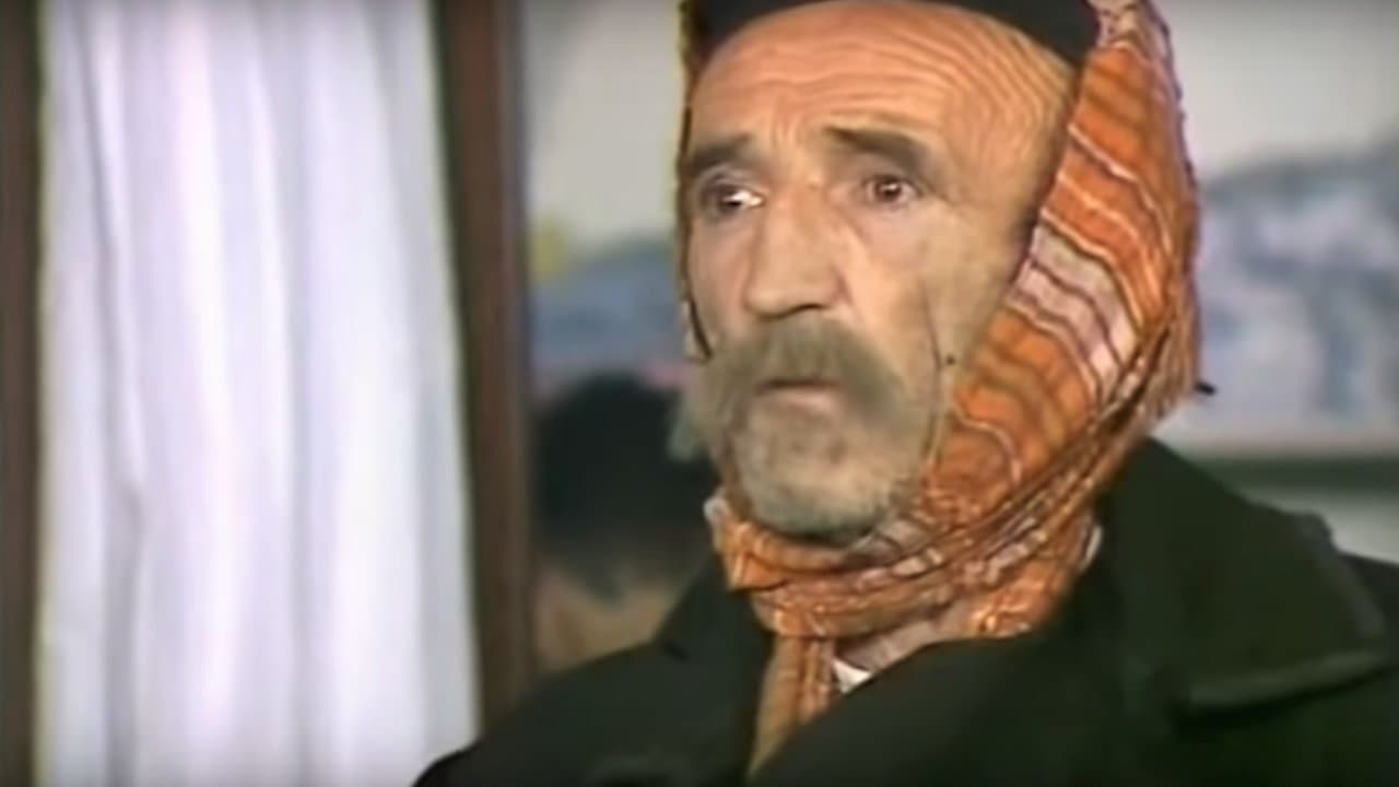 Vesna Pećanac