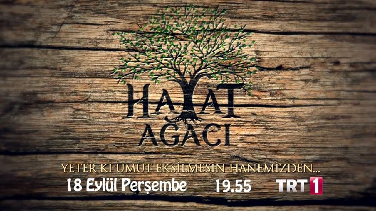 Aycan Koptur
