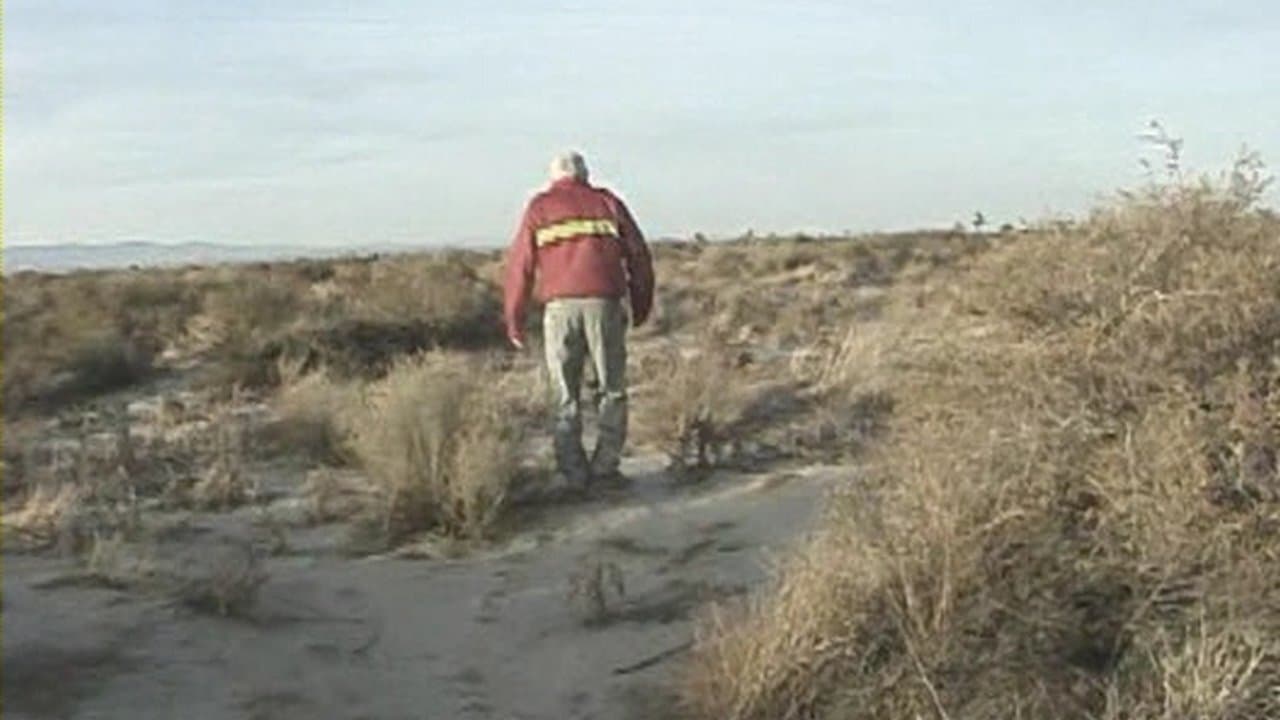 David A. Arnold