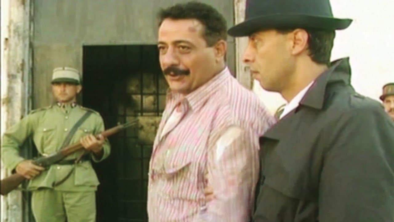 Amal Arafa