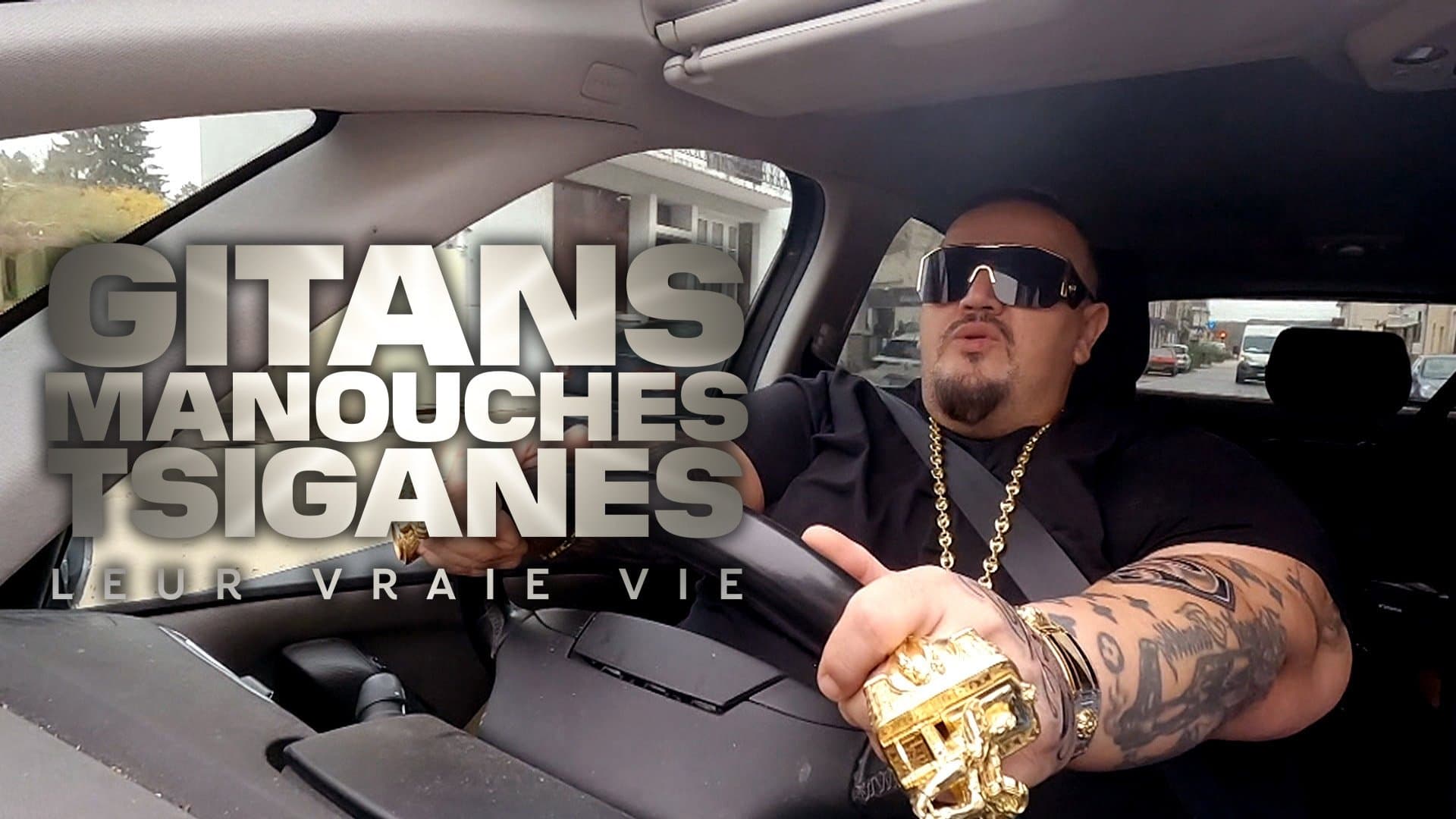 Gitans, manouches, tsiganes : Leur vraie vie