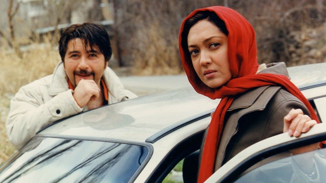 Amir Hossein Seddigh