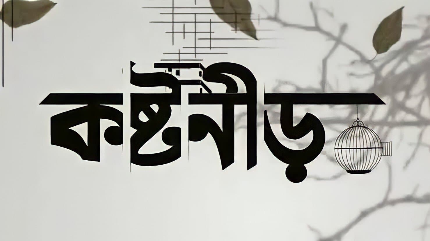 Ashfaque Nipun