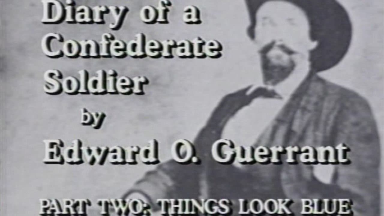 Diary of a Confederate Soldier (Part 2)