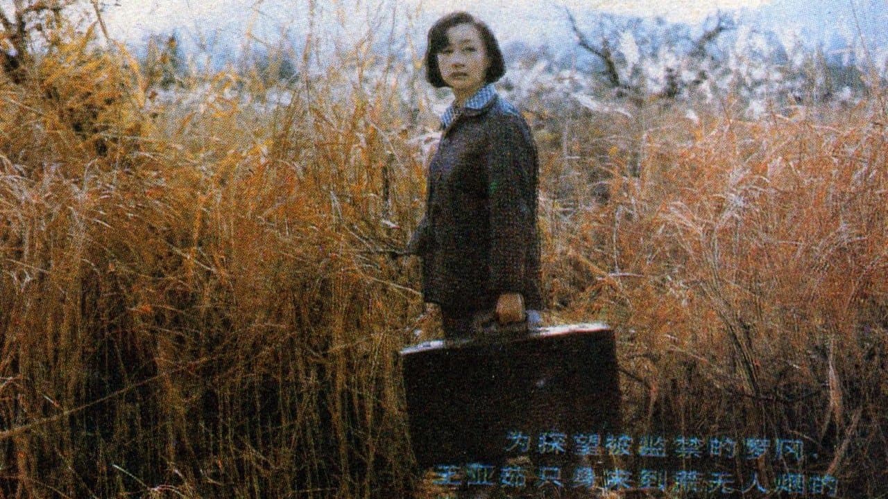 Wanlong Zheng