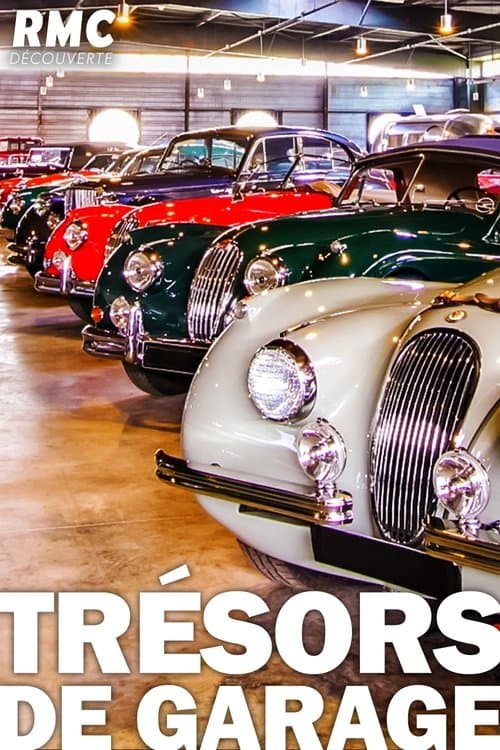 Trésors de garage