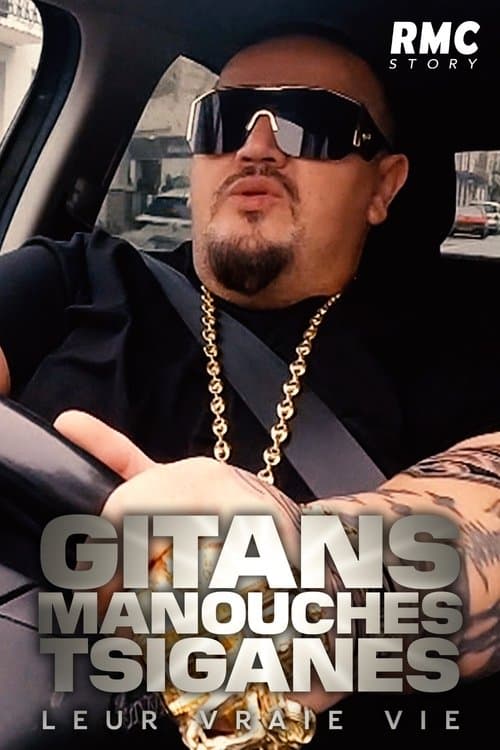 Gitans, manouches, tsiganes : Leur vraie vie
