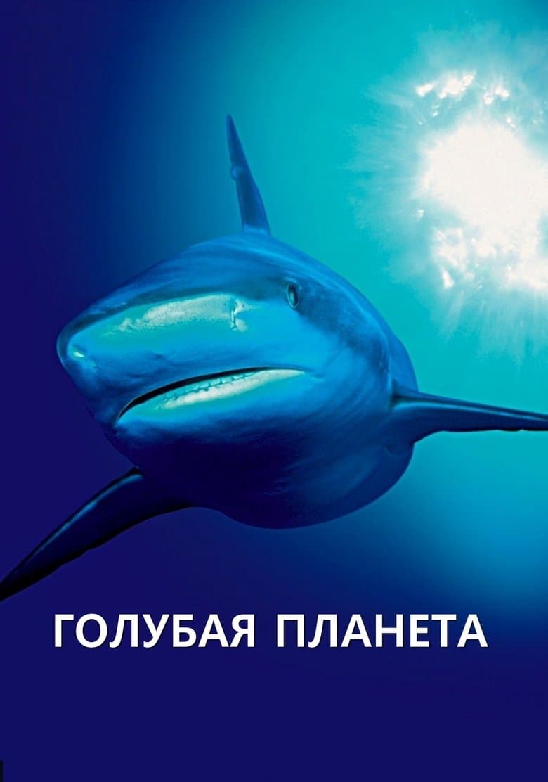 /1Be4Euq63nWHsAY6eCpkOTJFdyJ.jpg