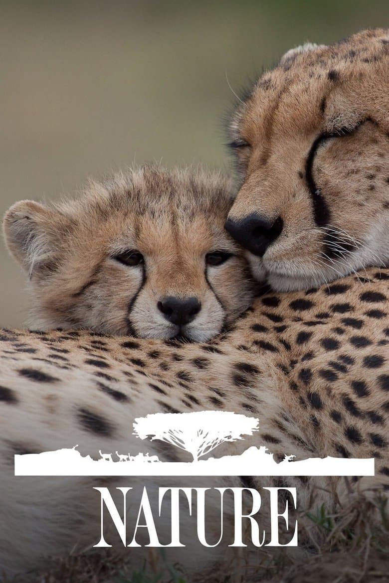 /nBW89LwYzaERv2Fdgphkr0OiQAj.jpg