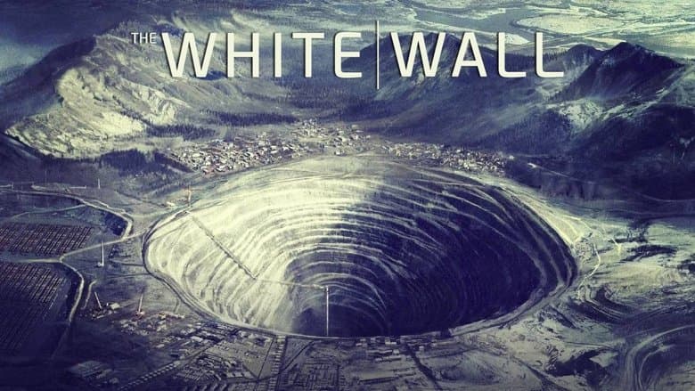 /zoubj17FklviOwGZ0lzZWlvJeoy.jpg