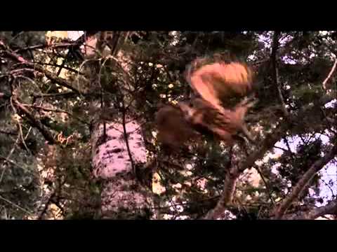 Longmire - Season 1 - Promo