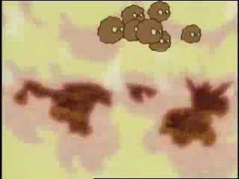 Fighting Foodons Intro