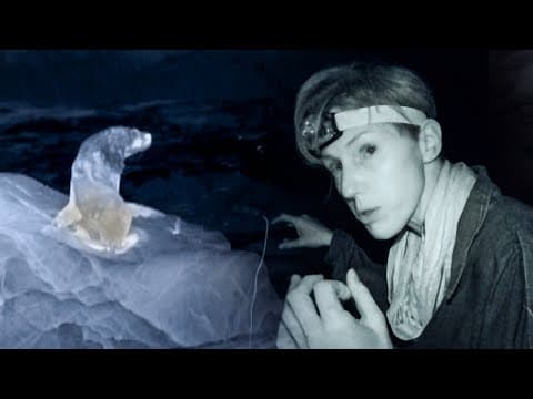 Vampire Bats feeding on Sea Lions | The Dark:  Nature's Nighttime World | BBC Earth