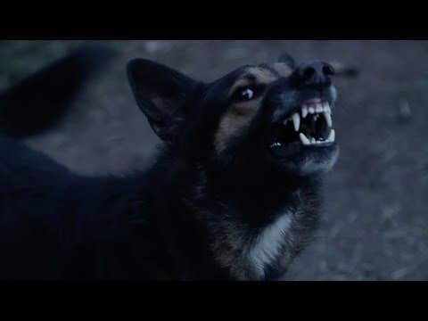 FEAR THY NEIGHBOR 4x05 – "Pack Mentality" – Teaser
