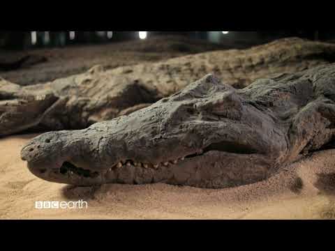 Ancient Egypt's Darkest Hour (30)