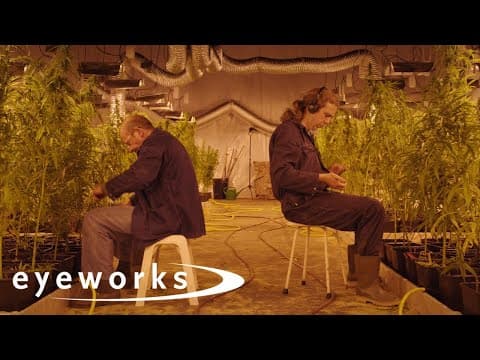 Eigen Kweek - Trailer